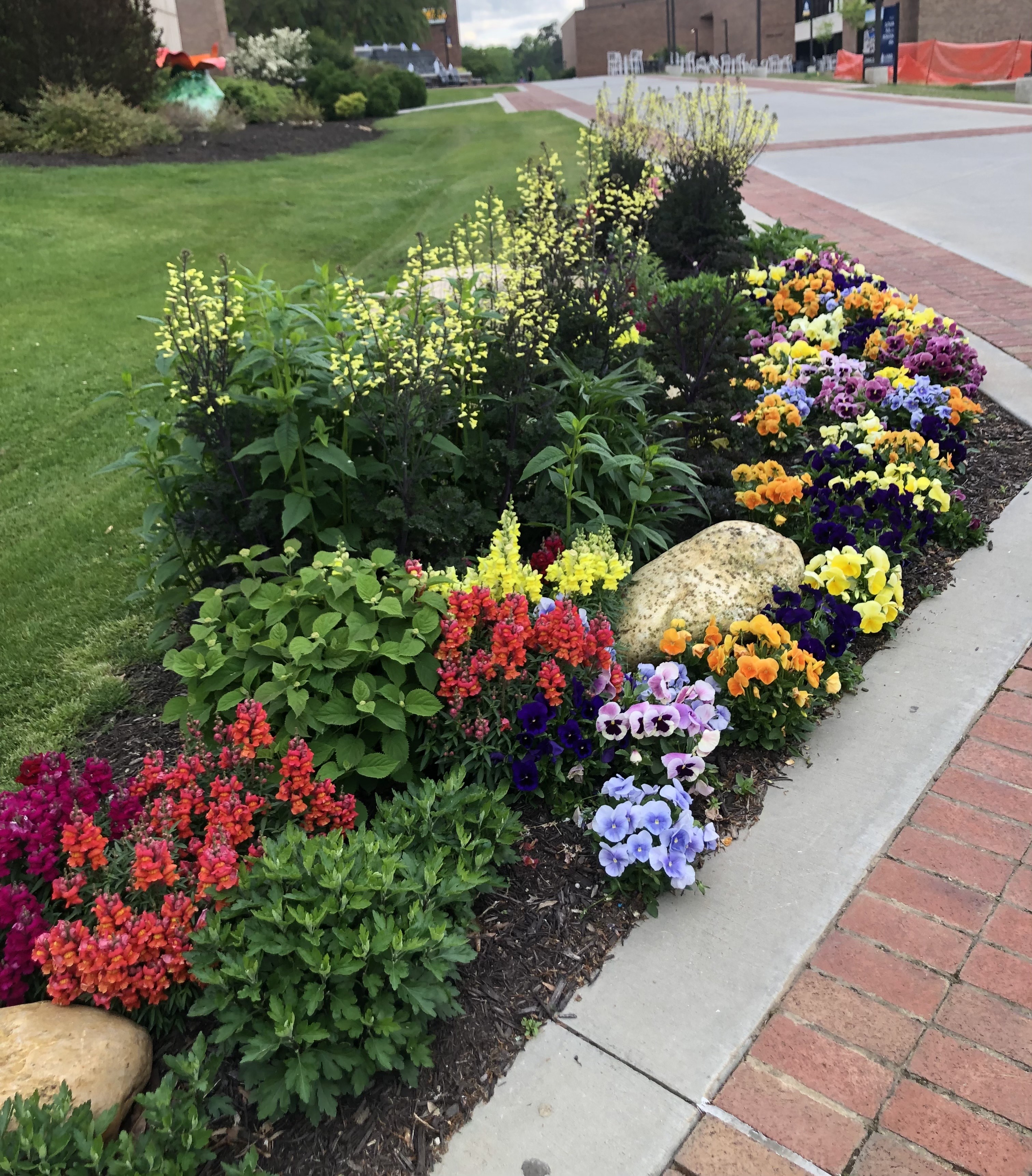 Vibrant garden border along a brick walkway